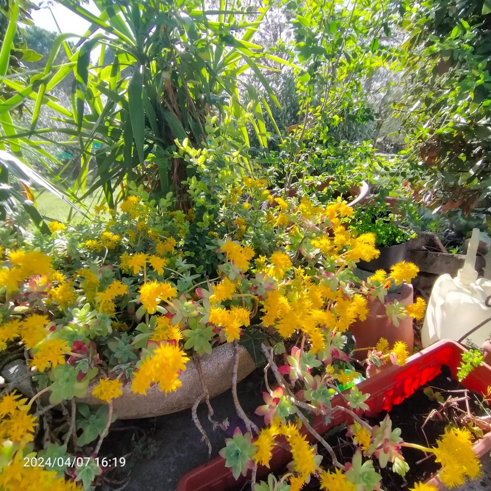 La Magnolia - Fano Bed & Breakfast Luaran gambar